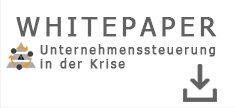 Whitepaper Unternehmenssteuerung in der Krise