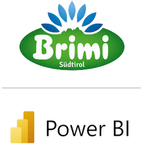 Logo des consultnetwork Referenzkunden Brimi, der Power BI implementieren ließ