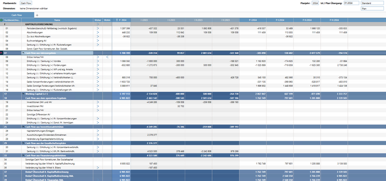BusinessPlanner: Cashflow