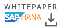 Kostenloses Whitepaper SAP HANA®