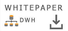 Whitepaper Data-Warehouse